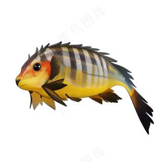 黄色卡通手绘鱼免抠素材42