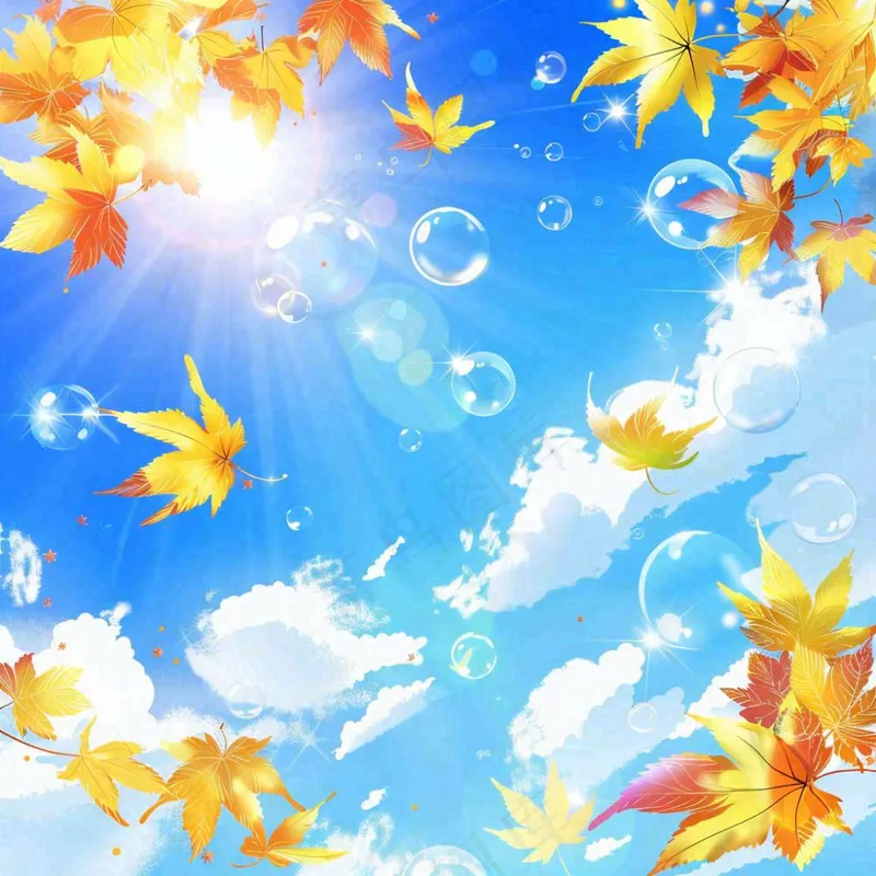 秋天黄色枫叶落叶蓝天白云刺眼阳光立秋秋分处暑背景(1024x1024)