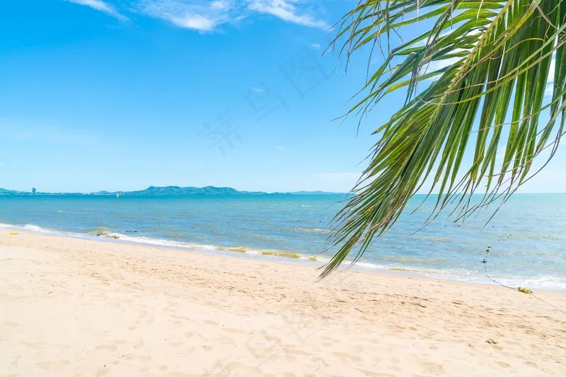 大海沙滩图片