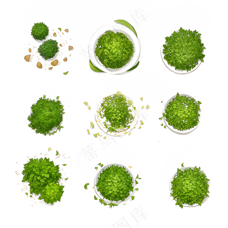 绿色手绘小植物花草系列免抠素材113