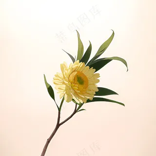 白色黄色手绘新中式风格花植物55