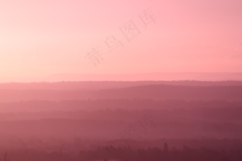 云雾森林图片