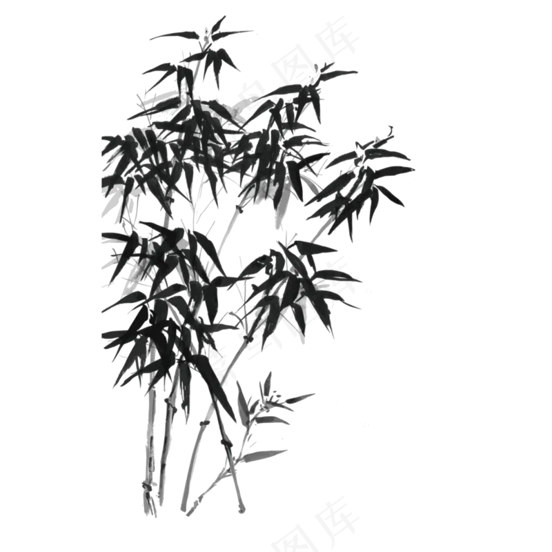 中国风水墨竹子图片古风竹叶竹林水彩手绘插画PNG免扣设计