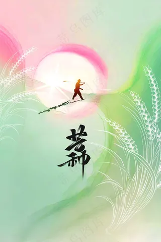 芒种节气传统活动海报