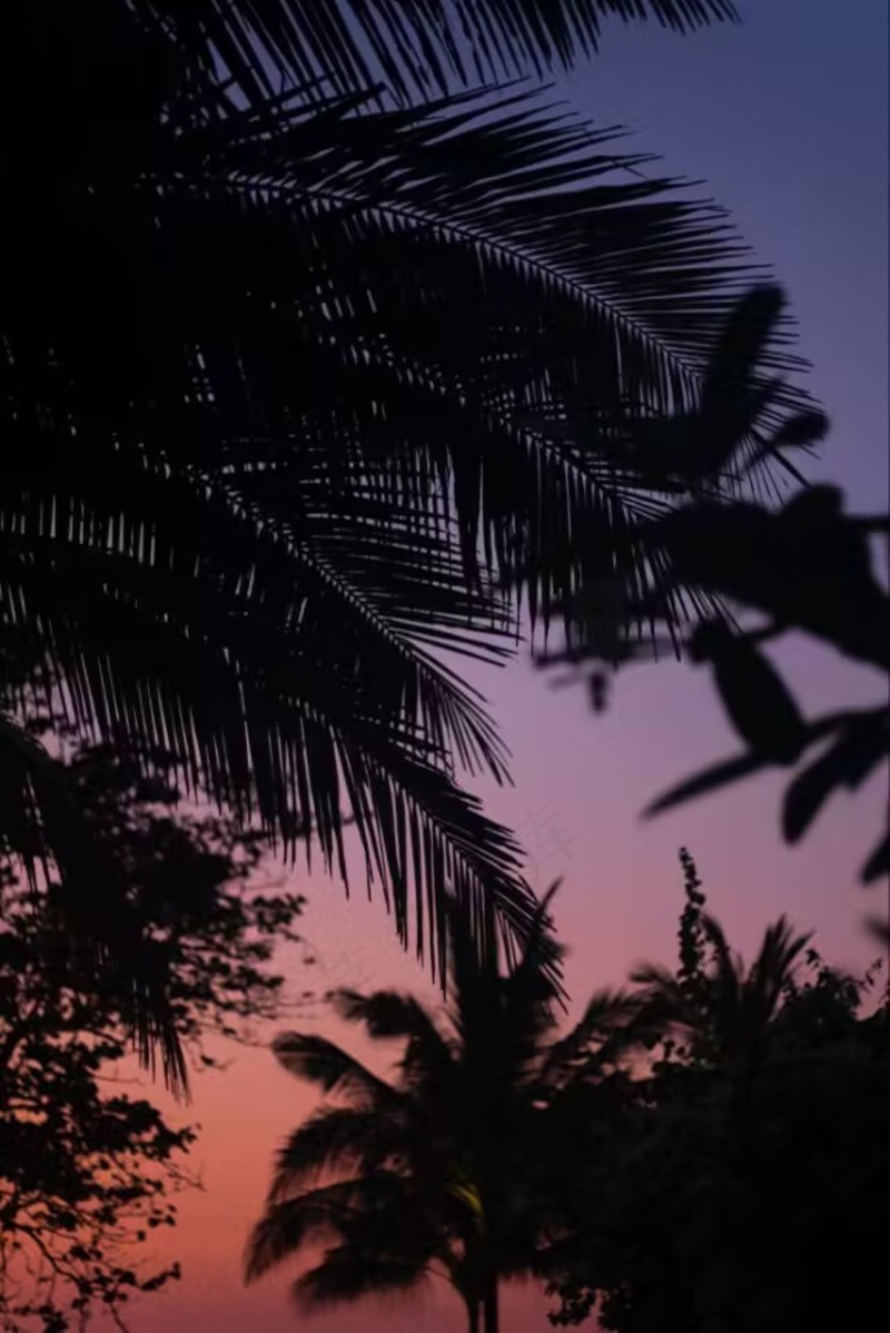 美丽的夕阳 (2)