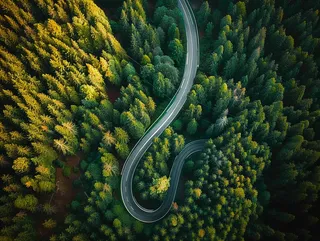 森林环山公路绿意摄影图