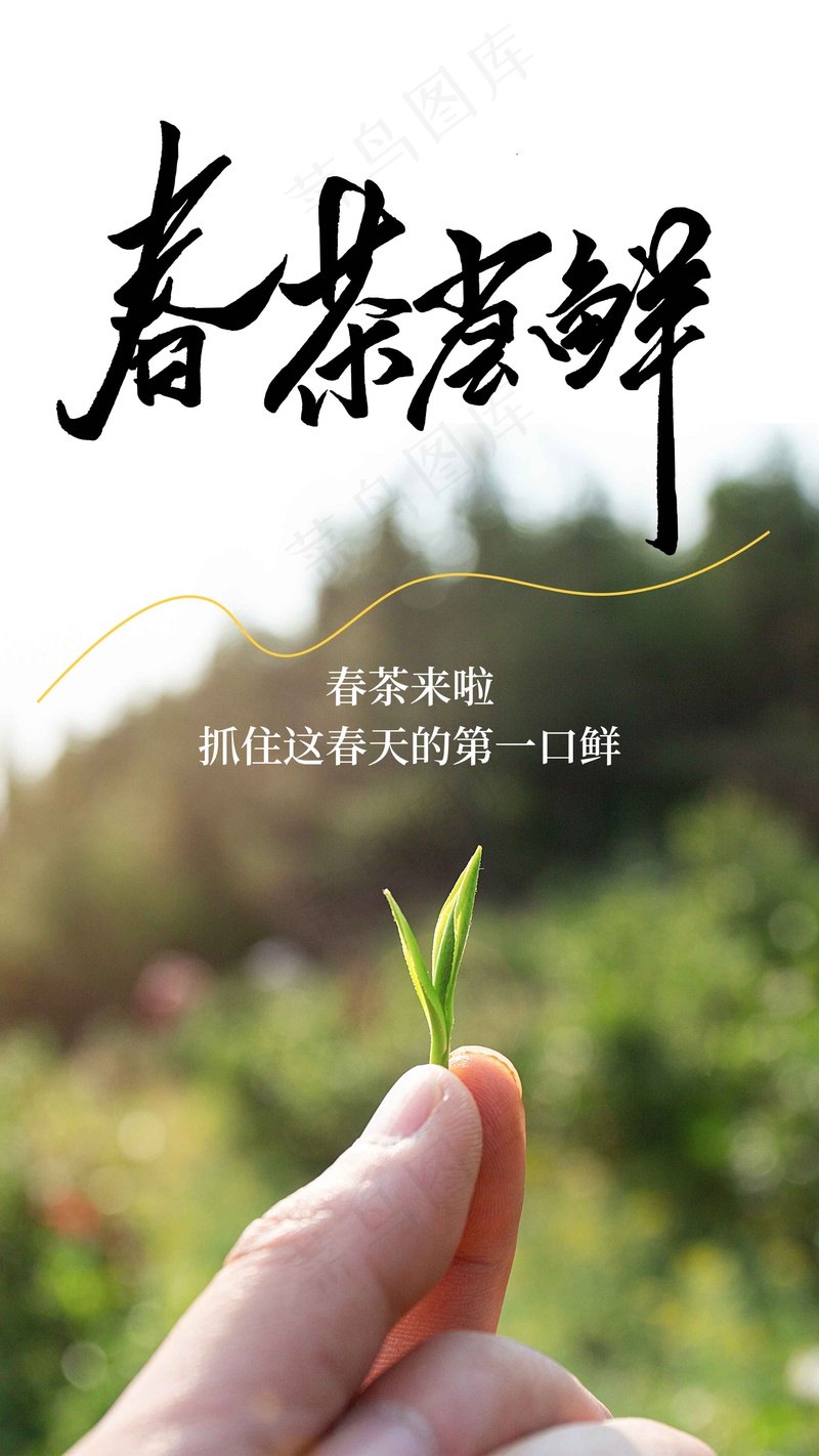 春茶上新促销海报psd模版下载