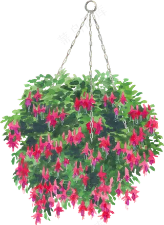 手绘植物草花免扣素材