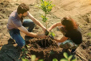 植树树苗保护环境摄影图