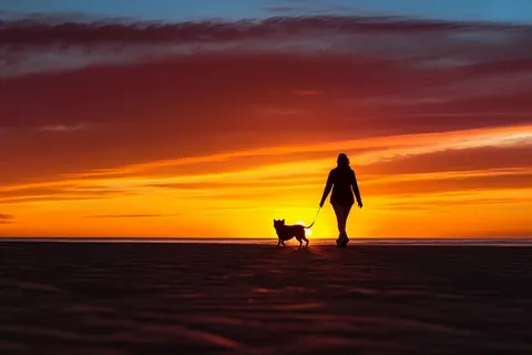 夕阳落日下遛狗的人海边沙滩晚霞摄影图