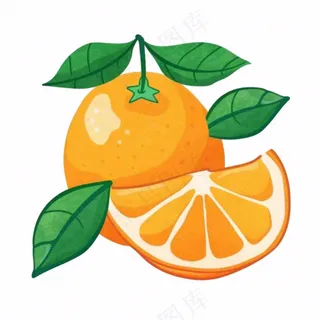 橘子橙子水果卡通插画免抠