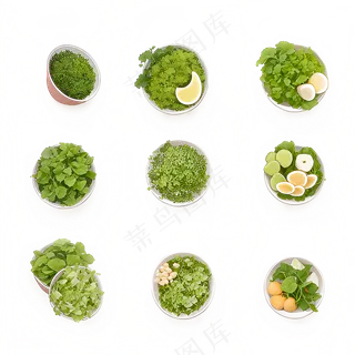 手绘练习小植物花草系列31