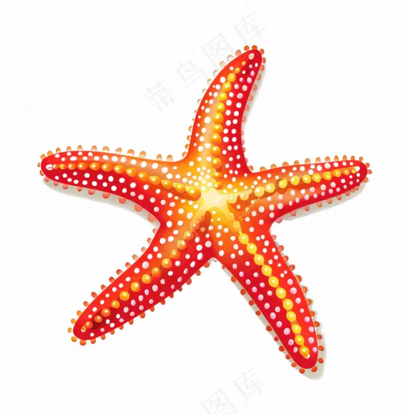 海星海洋卡通插画免抠(1024x1040)