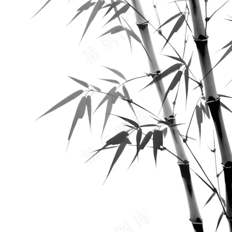 竹林竹叶水墨画古风黑白插画免抠(1024x1024)