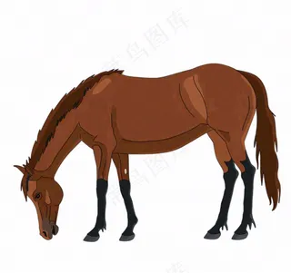 骏马马匹动物卡通插画免抠