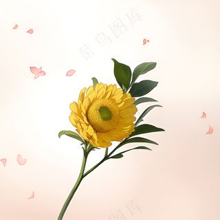 白色黄色手绘新中式风格花植物79