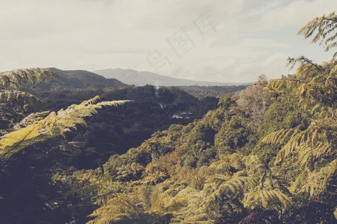 山脉森林图片 山脉森林图片