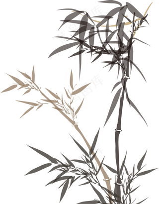 中国风水墨竹子图片古风竹叶竹林水彩手绘插画PNG免扣设计