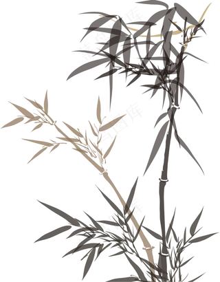 中国风水墨竹子图片古风竹叶竹林水彩手绘插画PNG免扣设计