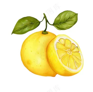 柠檬水果水彩插画免抠
