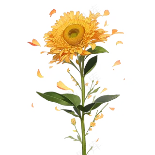 黄色向日葵免抠素材18