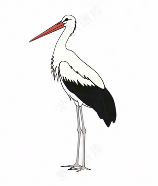 白鹤白鹭鸟国风插画免抠