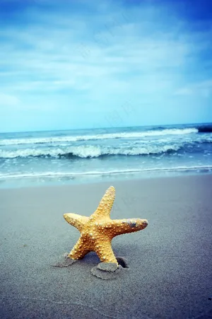 大海沙滩高清