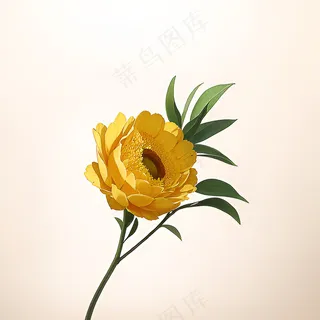 白色黄色手绘新中式风格花植物49