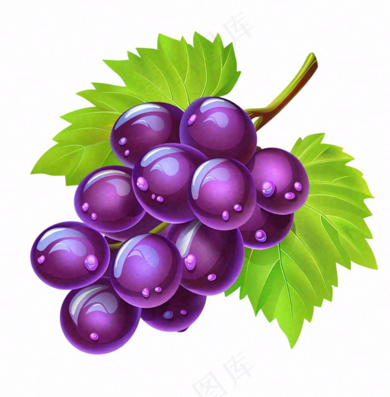 紫葡萄水果卡通插画免抠(1024x1040)