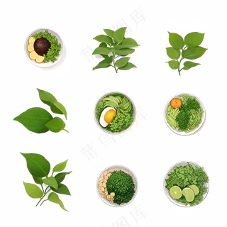 手绘练习小植物花草系列6