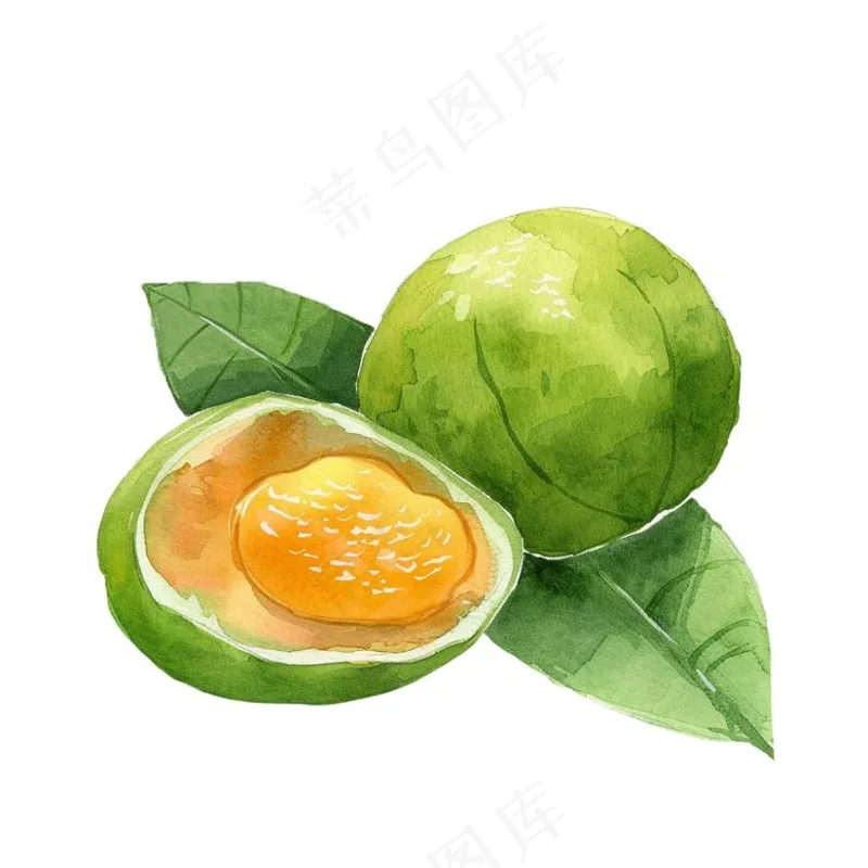青团艾草清明元素水彩插画免抠(1024x1024)