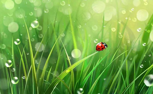 惊蛰雨水谷雨春天瓢虫昆虫绿色嫩草下雨天卡通插画背景