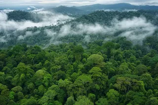 山林森林阳光绿色大自然风景摄影图