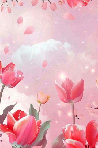 红色郁金香粉色背景浪漫七夕情人节插画背景