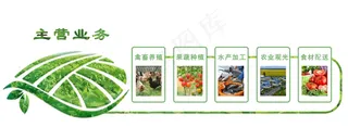 农场主营业务办公室文化墙