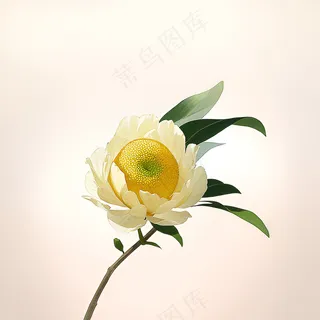 白色黄色手绘新中式风格花植物151