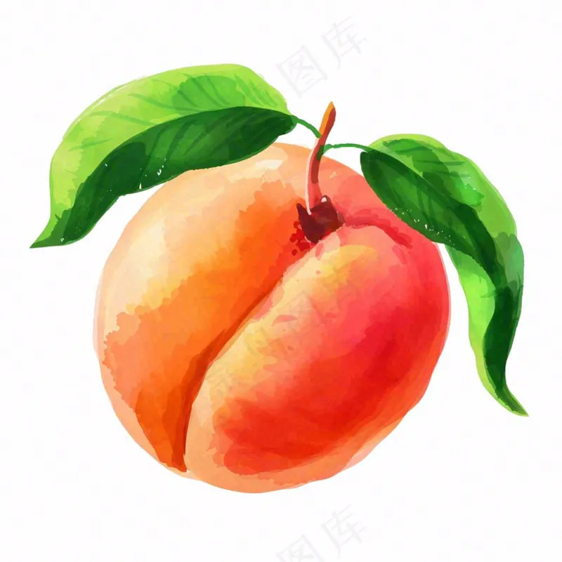 水蜜桃桃子水果水彩插画免抠(1024x1024)