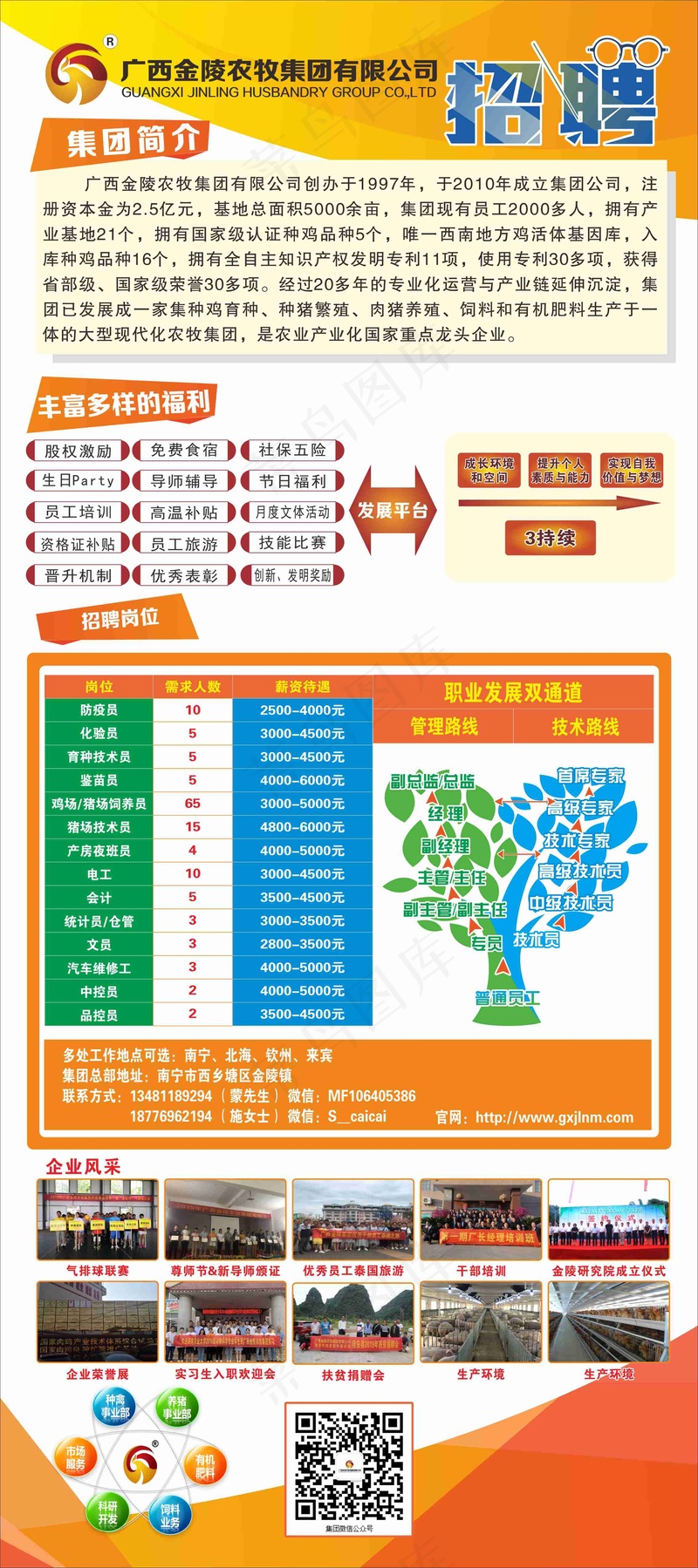 金陵展架 黄色展架，招聘展架，人才展架，黄色海报，海报