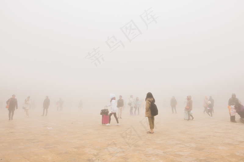 云雾森林图片