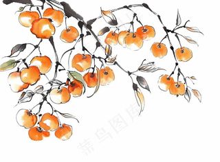 柿子杏树水墨画中国风插画免抠