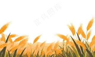 秋季小麦麦穗稻谷麦穗手绘卡通插画免抠