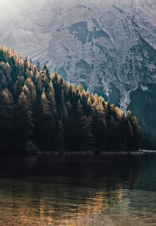 晨光中的金色森林与宁静湖水