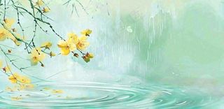 春天春暖花开梅雨季雨水谷雨黄花插画背景