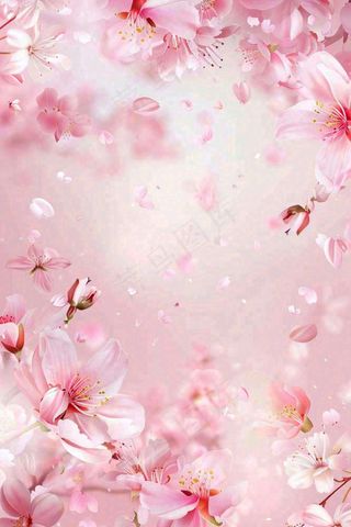粉色樱花桃花花瓣飘落唯美浪漫春天春分情人七夕背景