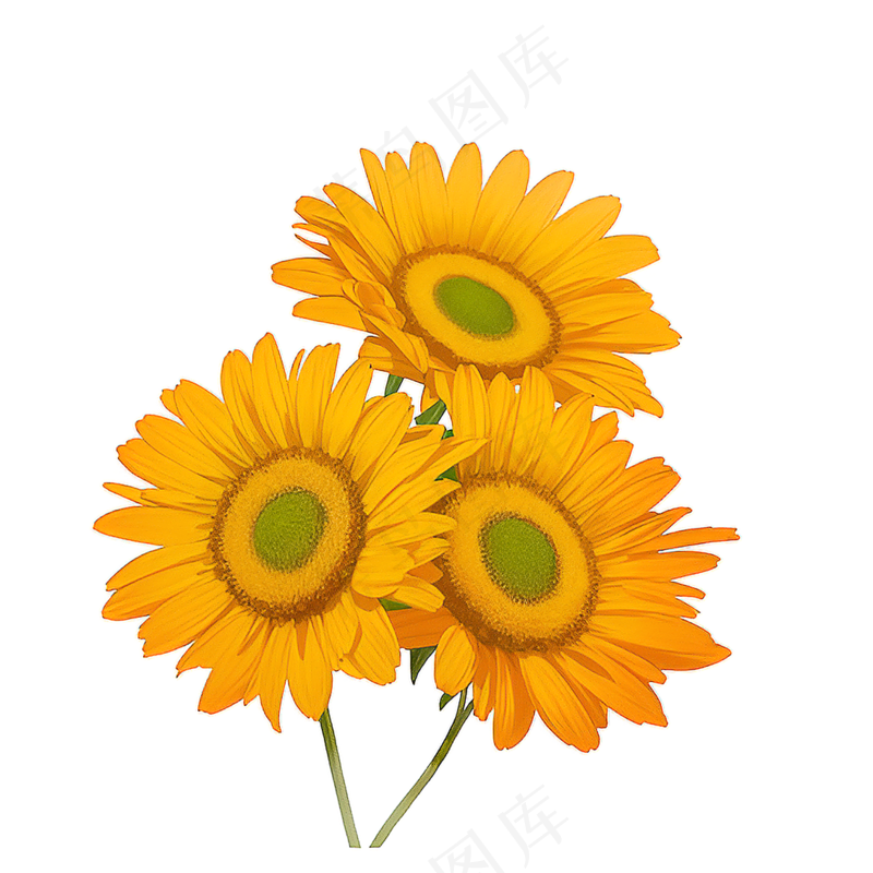 黄色向日葵花朵免抠素材32