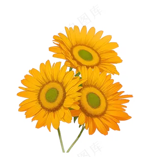 黄色向日葵花朵免抠素材32