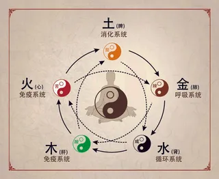五行对应健康