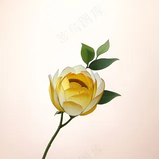 白色黄色手绘新中式风格花植物97