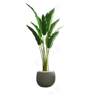 绿色植物家庭室内装饰海报素材png免抠图