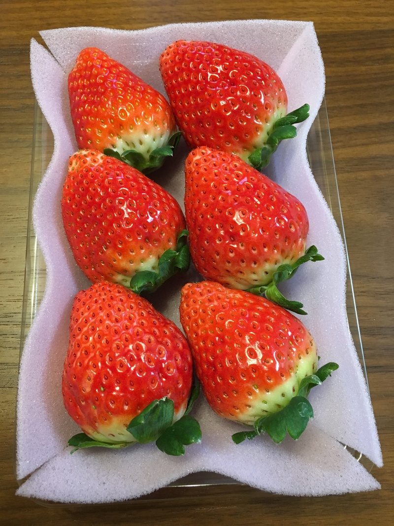 新鲜草莓水果